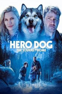 ดูหนังออนไลน์ Against the Wild (2021) The Journey Home (Hero Dog: The Journey Home)