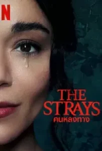 ดูหนังออนไลน์ คนหลงทาง ( The Strays 2023 )