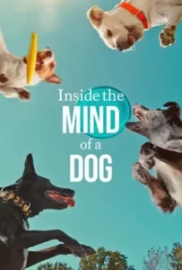 ดูหนังออนไลน์ อ่านใจสุนัข Inside the Mind of a Dog (2024)