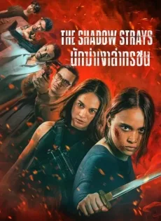 ดูหนัง นักฆ่าเงาล่าทรชน The Shadow Strays (2024)