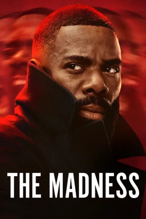 ดูหนัง เหยื่อข่าวคลั่ง The Madness (2024)